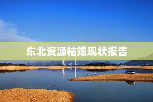 东北资源枯竭现状报告