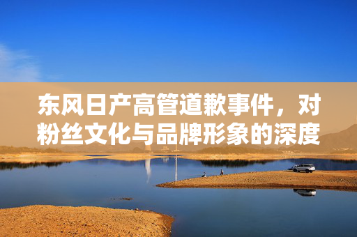 东风日产高管道歉事件，对粉丝文化与品牌形象的深度思考