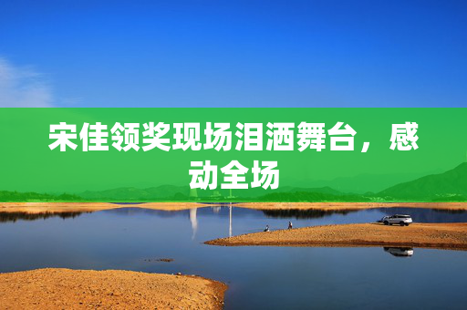 宋佳领奖现场泪洒舞台，感动全场