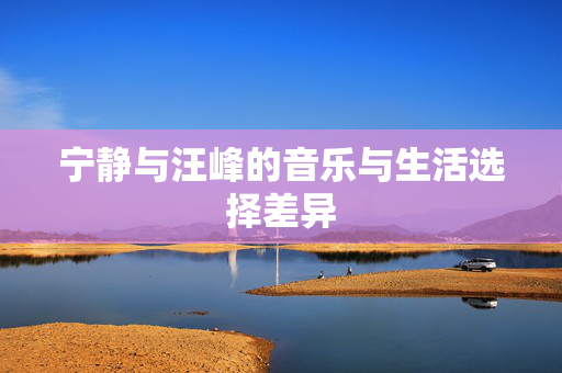 宁静与汪峰的音乐与生活选择差异