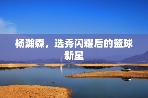 杨瀚森，选秀闪耀后的篮球新星