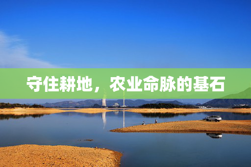 守住耕地，农业命脉的基石