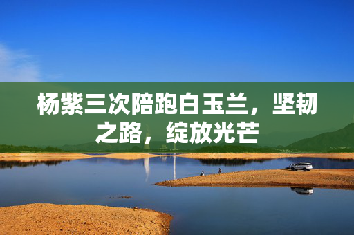 杨紫三次陪跑白玉兰，坚韧之路，绽放光芒