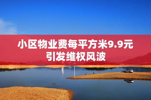 小区物业费每平方米9.9元引发维权风波