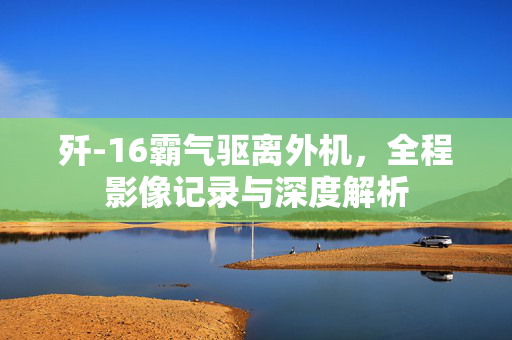 歼-16霸气驱离外机，全程影像记录与深度解析