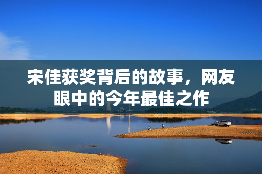 宋佳获奖背后的故事，网友眼中的今年最佳之作
