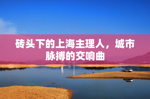 砖头下的上海主理人，城市脉搏的交响曲