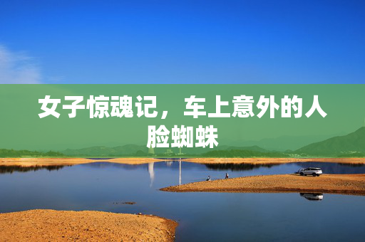 女子惊魂记，车上意外的人脸蜘蛛