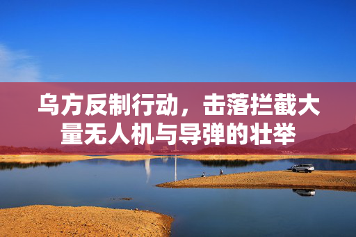 乌方反制行动，击落拦截大量无人机与导弹的壮举