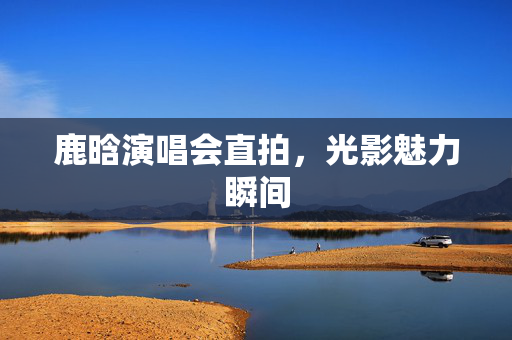 鹿晗演唱会直拍，光影魅力瞬间