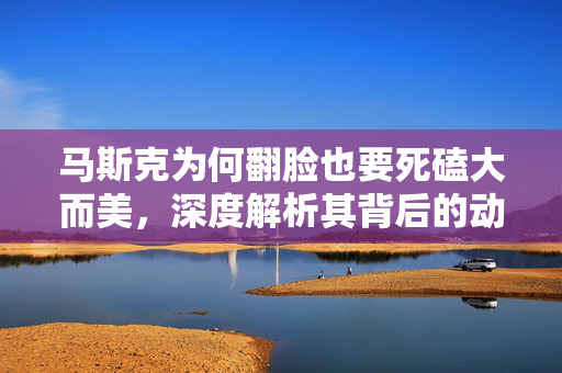 马斯克为何翻脸也要死磕大而美，深度解析其背后的动机与战略考量