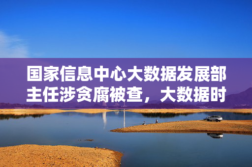 国家信息中心大数据发展部主任涉贪腐被查，大数据时代的反腐风暴