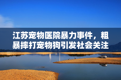 江苏宠物医院暴力事件，粗暴摔打宠物狗引发社会关注