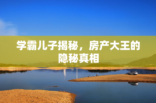 学霸儿子揭秘，房产大王的隐秘真相