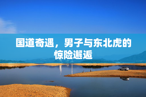 国道奇遇，男子与东北虎的惊险邂逅