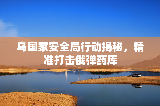 乌国家安全局行动揭秘，精准打击俄弹药库