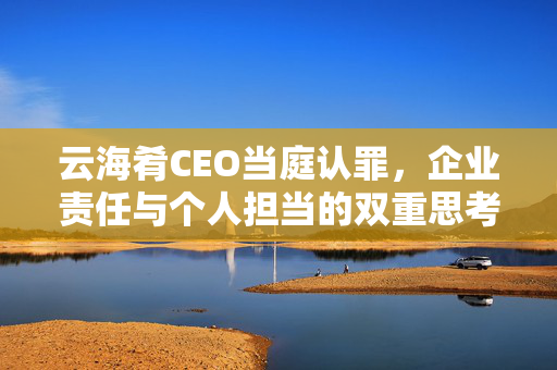 云海肴CEO当庭认罪，企业责任与个人担当的双重思考