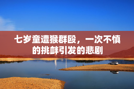七岁童遭猴群殴，一次不慎的挑衅引发的悲剧
