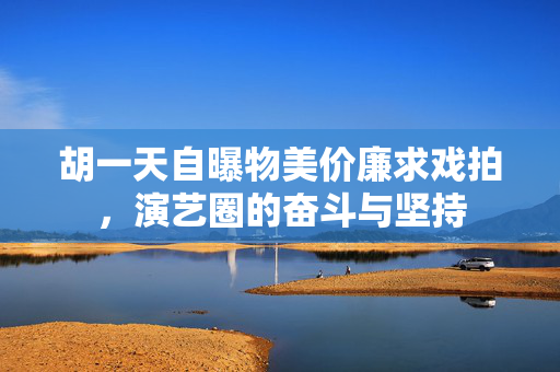 胡一天自曝物美价廉求戏拍，演艺圈的奋斗与坚持