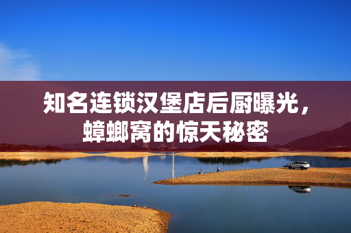 知名连锁汉堡店后厨曝光，蟑螂窝的惊天秘密