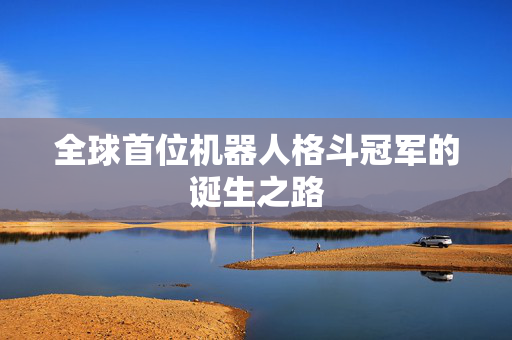 全球首位机器人格斗冠军的诞生之路