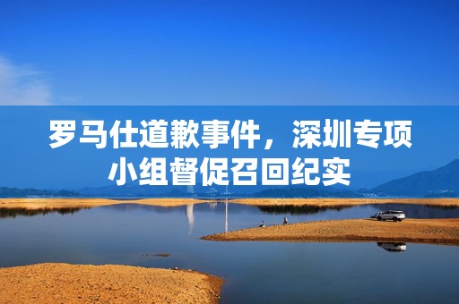 罗马仕道歉事件，深圳专项小组督促召回纪实