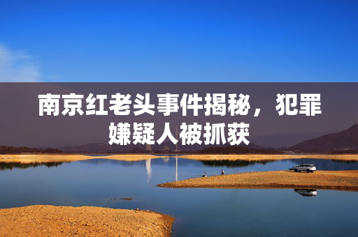 南京红老头事件揭秘，犯罪嫌疑人被抓获