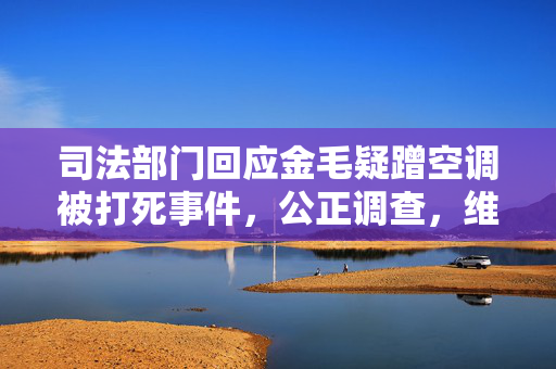 司法部门回应金毛疑蹭空调被打死事件，公正调查，维护社会法治秩序