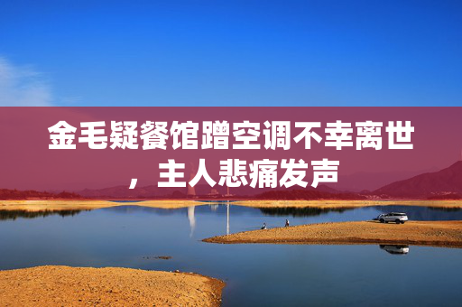 金毛疑餐馆蹭空调不幸离世，主人悲痛发声