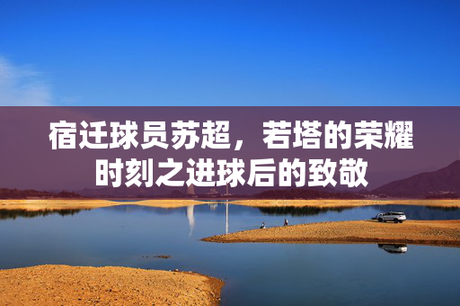 宿迁球员苏超，若塔的荣耀时刻之进球后的致敬