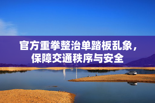 官方重拳整治单踏板乱象，保障交通秩序与安全