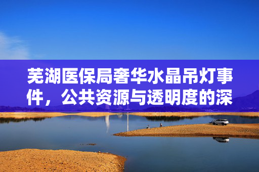 芜湖医保局奢华水晶吊灯事件，公共资源与透明度的深度思考