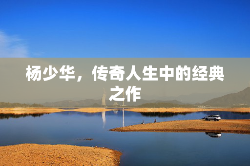 杨少华，传奇人生中的经典之作