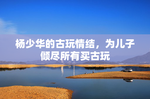 杨少华的古玩情结，为儿子倾尽所有买古玩
