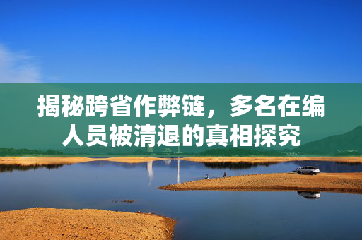 揭秘跨省作弊链，多名在编人员被清退的真相探究