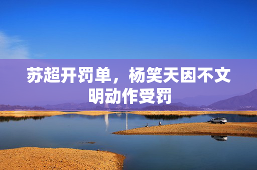 苏超开罚单，杨笑天因不文明动作受罚