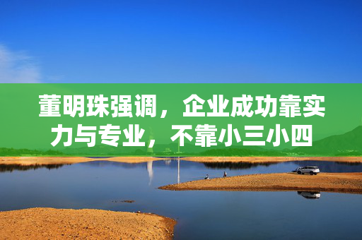 董明珠强调，企业成功靠实力与专业，不靠小三小四