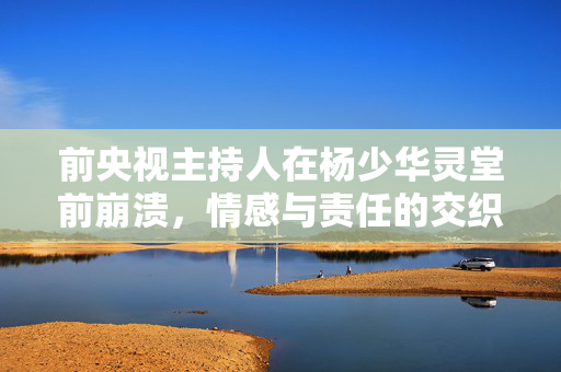 前央视主持人在杨少华灵堂前崩溃，情感与责任的交织