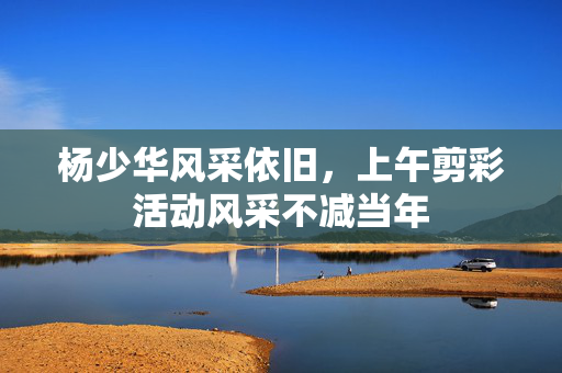 杨少华风采依旧，上午剪彩活动风采不减当年