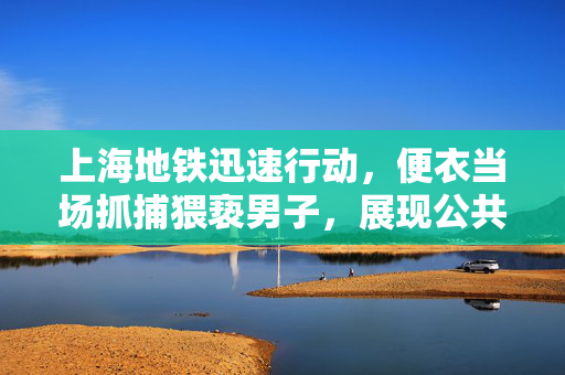 上海地铁迅速行动，便衣当场抓捕猥亵男子，展现公共交通治安新气象