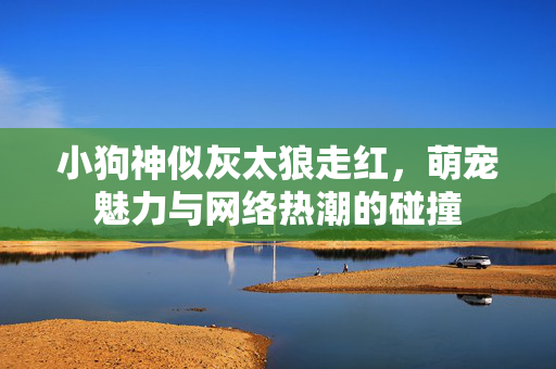 小狗神似灰太狼走红，萌宠魅力与网络热潮的碰撞
