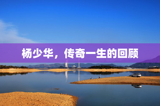 杨少华，传奇一生的回顾