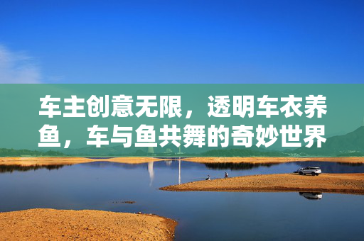 车主创意无限，透明车衣养鱼，车与鱼共舞的奇妙世界