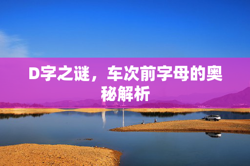 D字之谜，车次前字母的奥秘解析