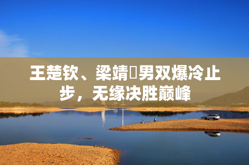 王楚钦、梁靖崑男双爆冷止步，无缘决胜巅峰