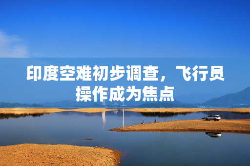 印度空难初步调查，飞行员操作成为焦点