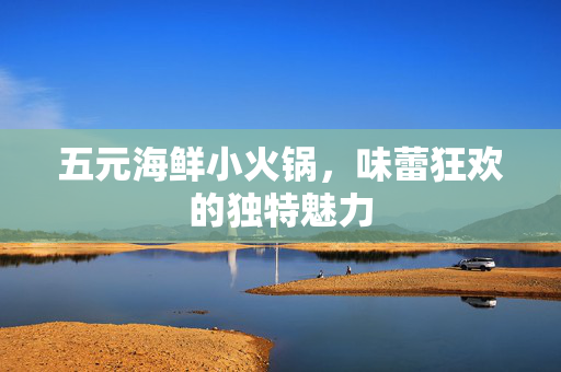 五元海鲜小火锅，味蕾狂欢的独特魅力