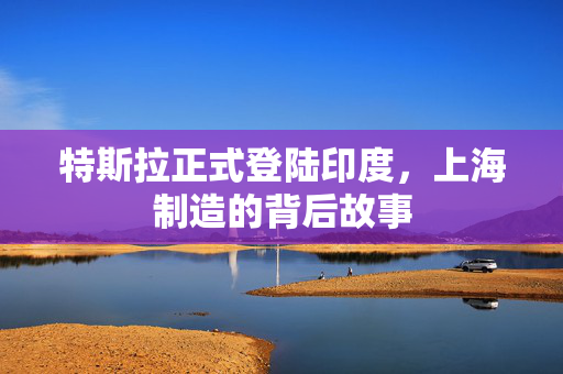 特斯拉正式登陆印度，上海制造的背后故事