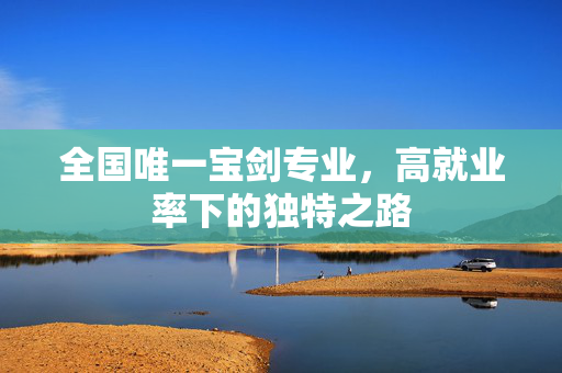 全国唯一宝剑专业，高就业率下的独特之路