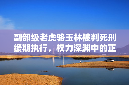 副部级老虎骆玉林被判死刑缓期执行，权力深渊中的正义胜利